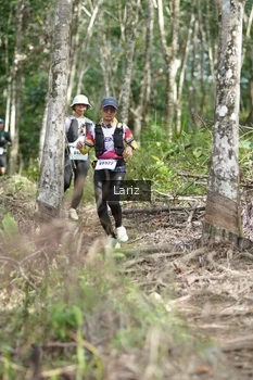 Runner Photo 2422677