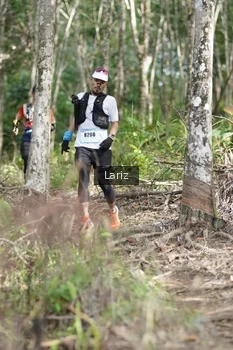 Runner Photo 2422694