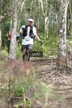 Runner Photo 2422696