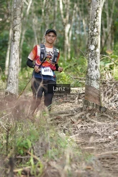 Runner Photo 2422701