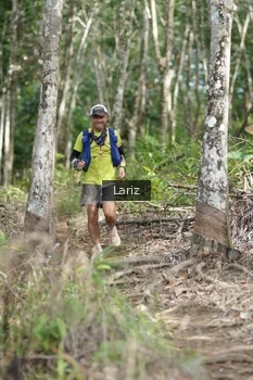 Runner Photo 2422709