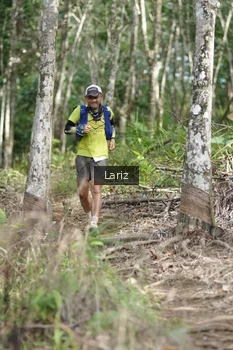 Runner Photo 2422710