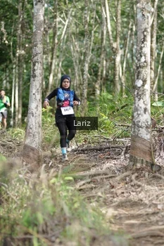 Runner Photo 2422726
