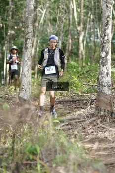Runner Photo 2422745