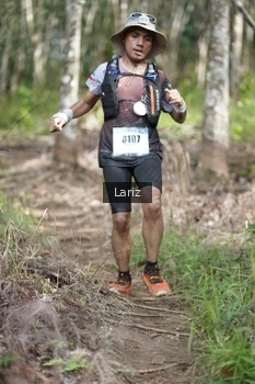 Runner Photo 2422754