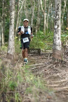 Runner Photo 2422784