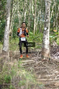 Runner Photo 2422832