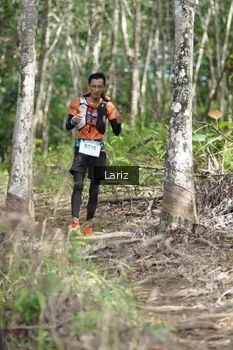 Runner Photo 2422833