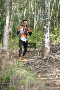 Runner Photo 2422836