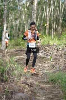 Runner Photo 2422840