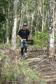 Runner Photo 2422855