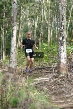 Runner Photo 2422869