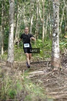 Runner Photo 2422870