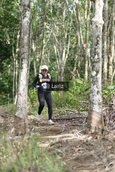 Runner Photo 2422934