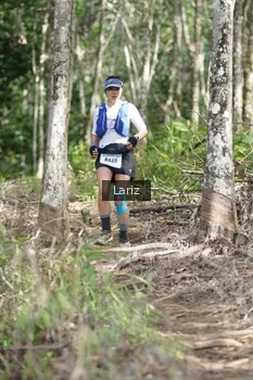 Runner Photo 2422948
