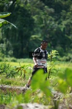 Runner Photo 2423694
