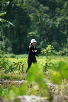 Runner Photo 2423725