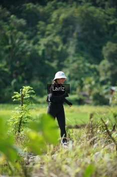 Runner Photo 2423728