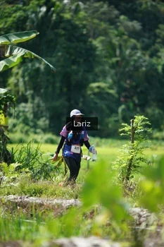 Runner Photo 2423883