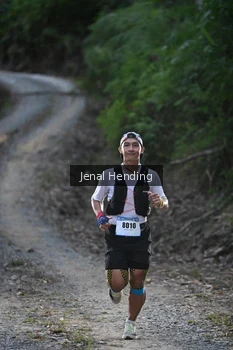 Runner Photo 2423901