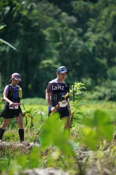 Runner Photo 2424777