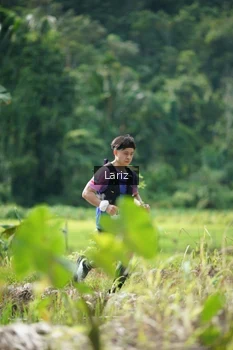 Runner Photo 2425171