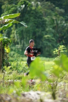 Runner Photo 2425184