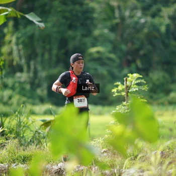 Runner Photo 2425193