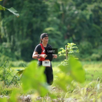 Runner Photo 2425199