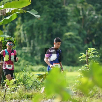 Runner Photo 2425204