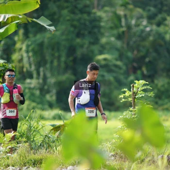 Runner Photo 2425209