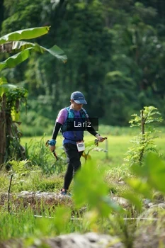 Runner Photo 2425383