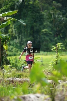 Runner Photo 2425398