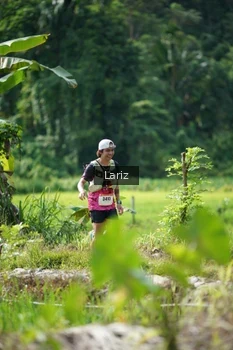 Runner Photo 2425402