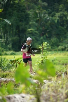 Runner Photo 2425405