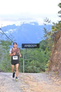 Runner Photo 2426499