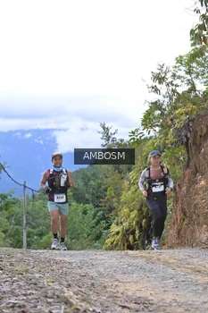 Runner Photo 2426665