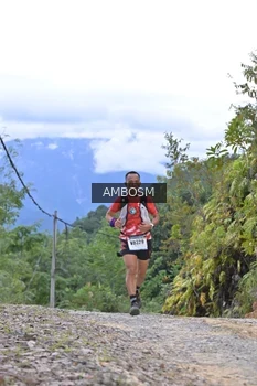 Runner Photo 2426711