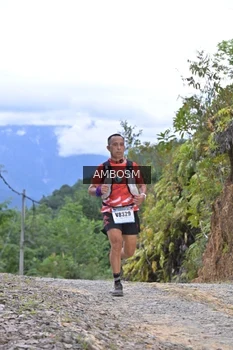 Runner Photo 2426727