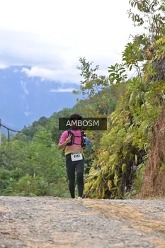 Runner Photo 2426914