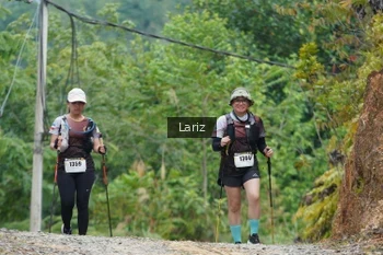 Runner Photo 2434027