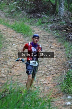 Runner Photo 2434324