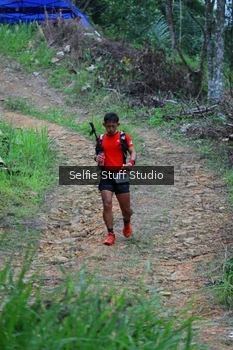 Runner Photo 2434407