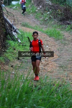 Runner Photo 2434418