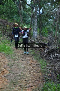 Runner Photo 2434493