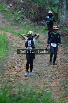 Runner Photo 2434516