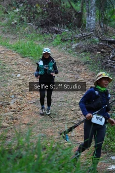Runner Photo 2434540