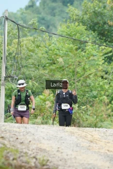 Runner Photo 2434627