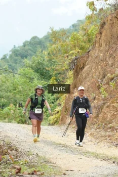 Runner Photo 2434658