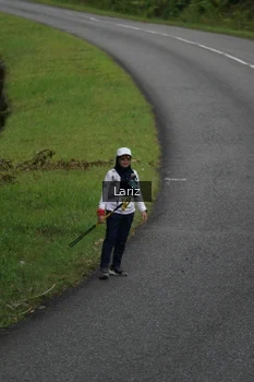 Runner Photo 2434823